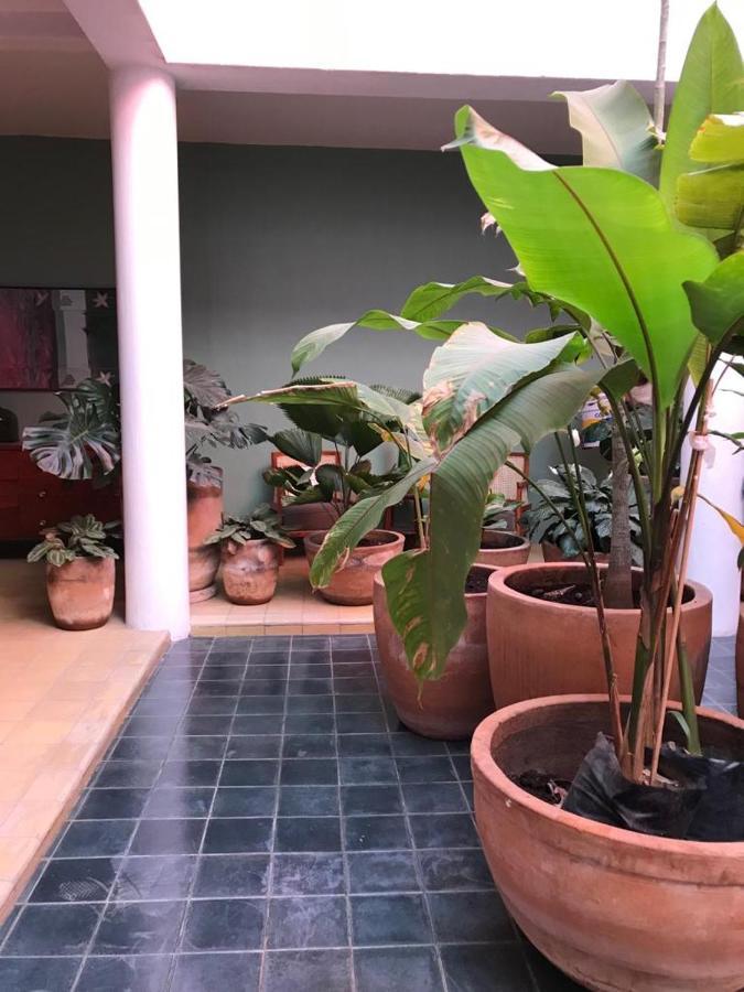 Meson San Felipe Aparthotel Guadalajara Eksteriør bilde