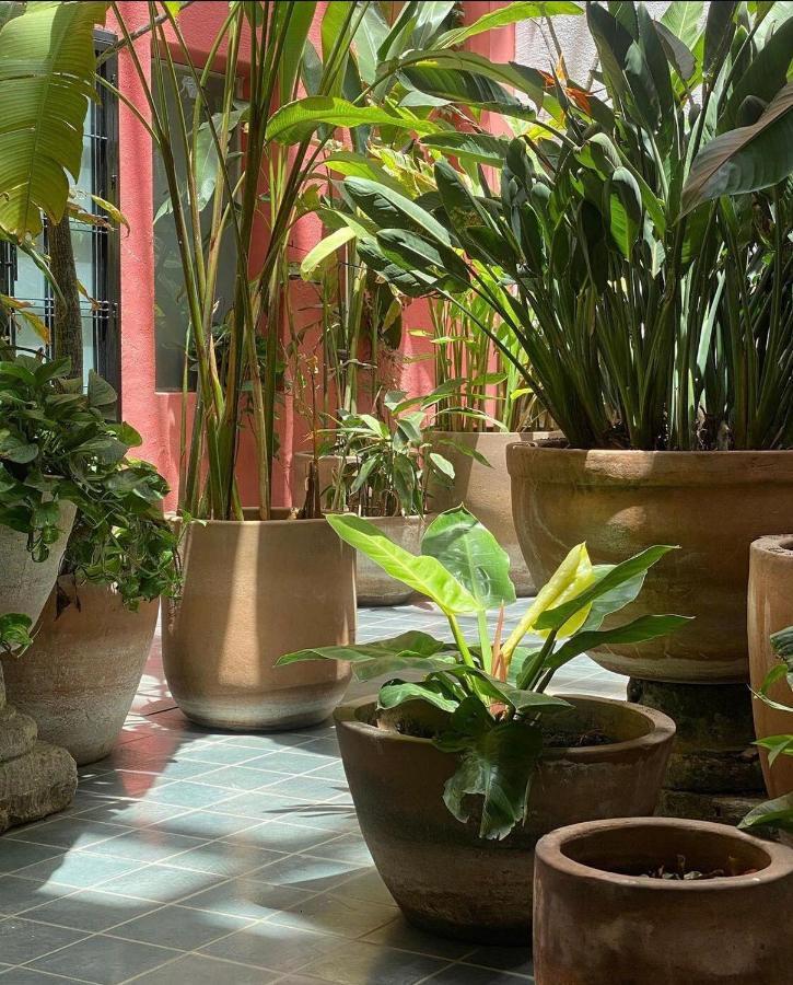 Meson San Felipe Aparthotel Guadalajara Eksteriør bilde